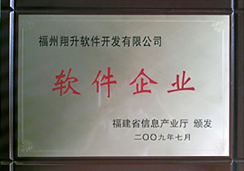 軟件企業(yè)