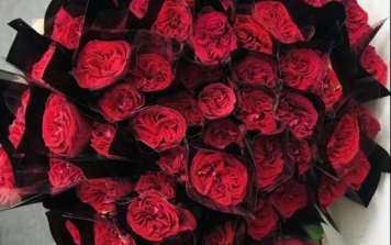 七夕緣.七巧望碧霄,佳期又一年